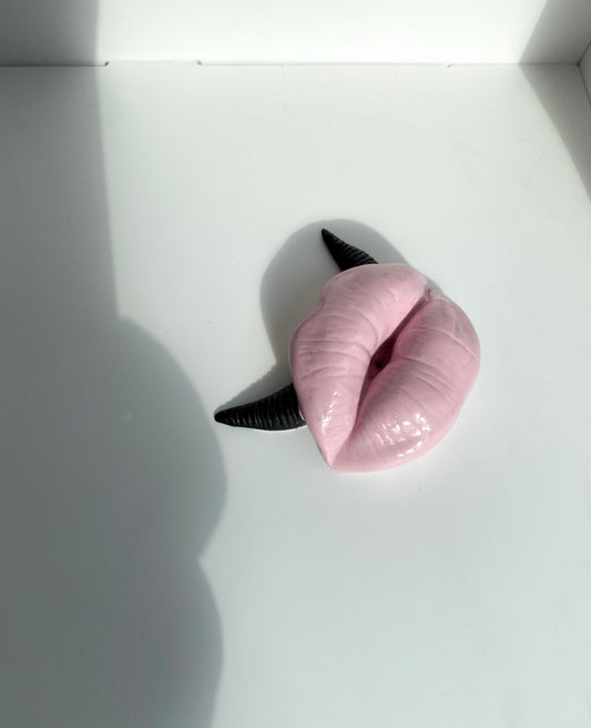 Lūpų formos rožinė smilkalinė