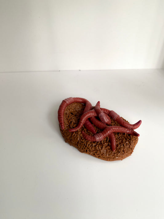 Smilkalinė su sliekais