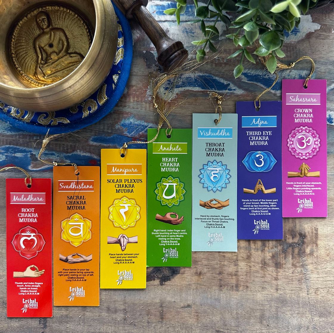 Hari Darshan Tribal 7 Chakras smilkalai