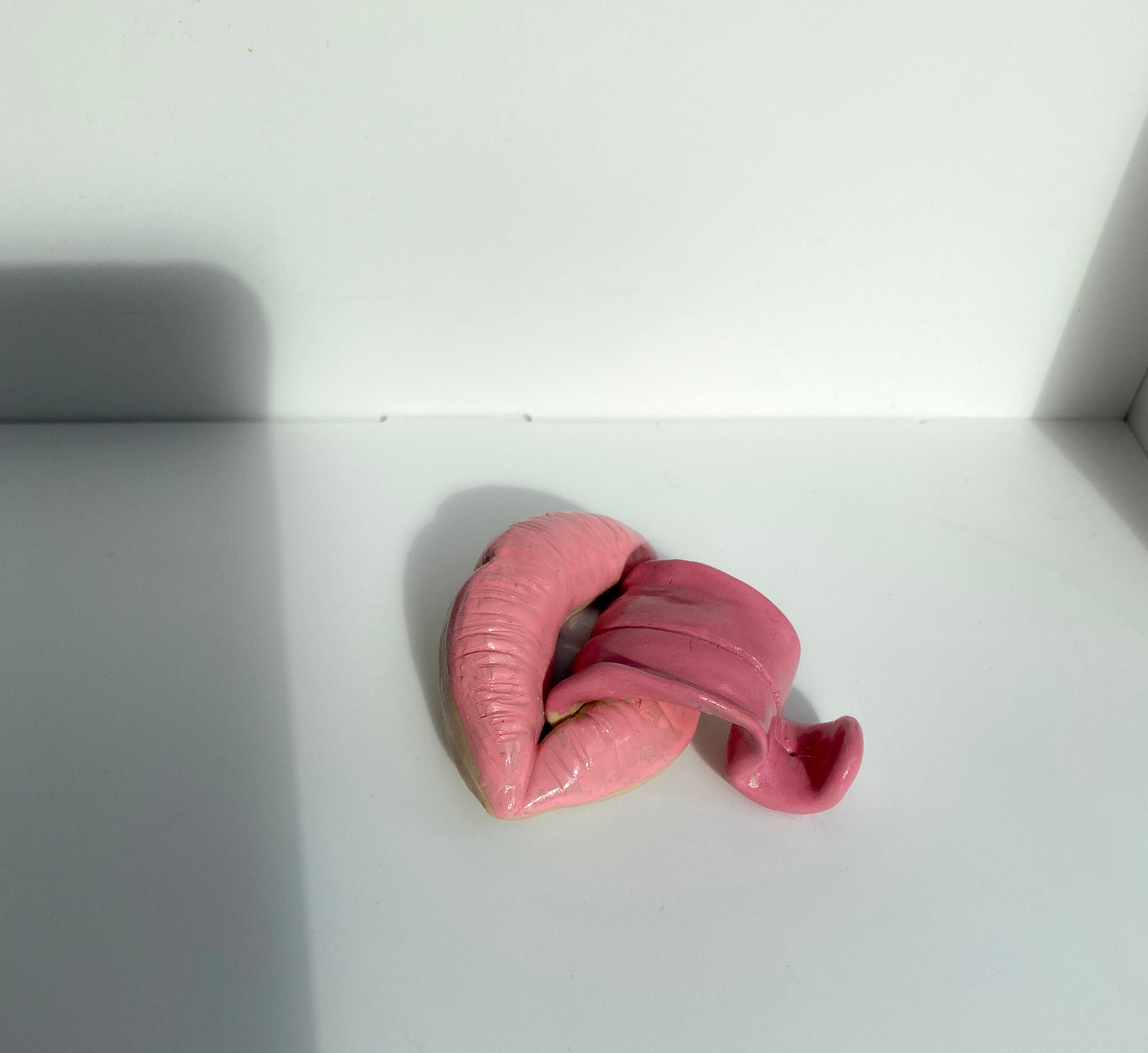 Lūpų formos rožinė smilkalinė