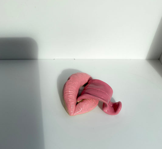 Lūpų formos rožinė smilkalinė