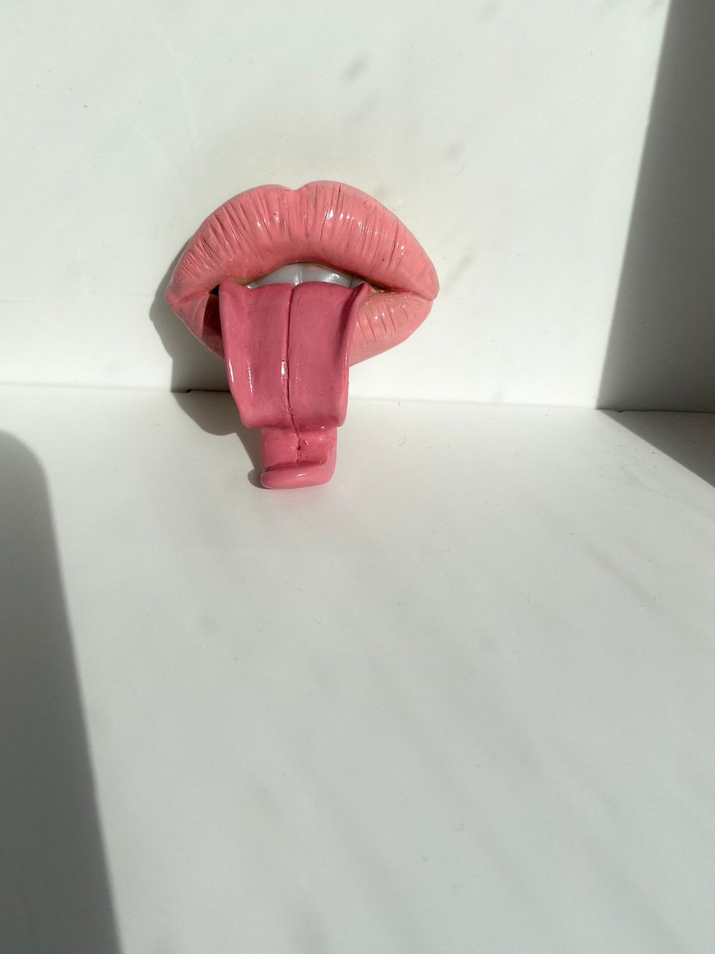 Lūpų formos rožinė smilkalinė