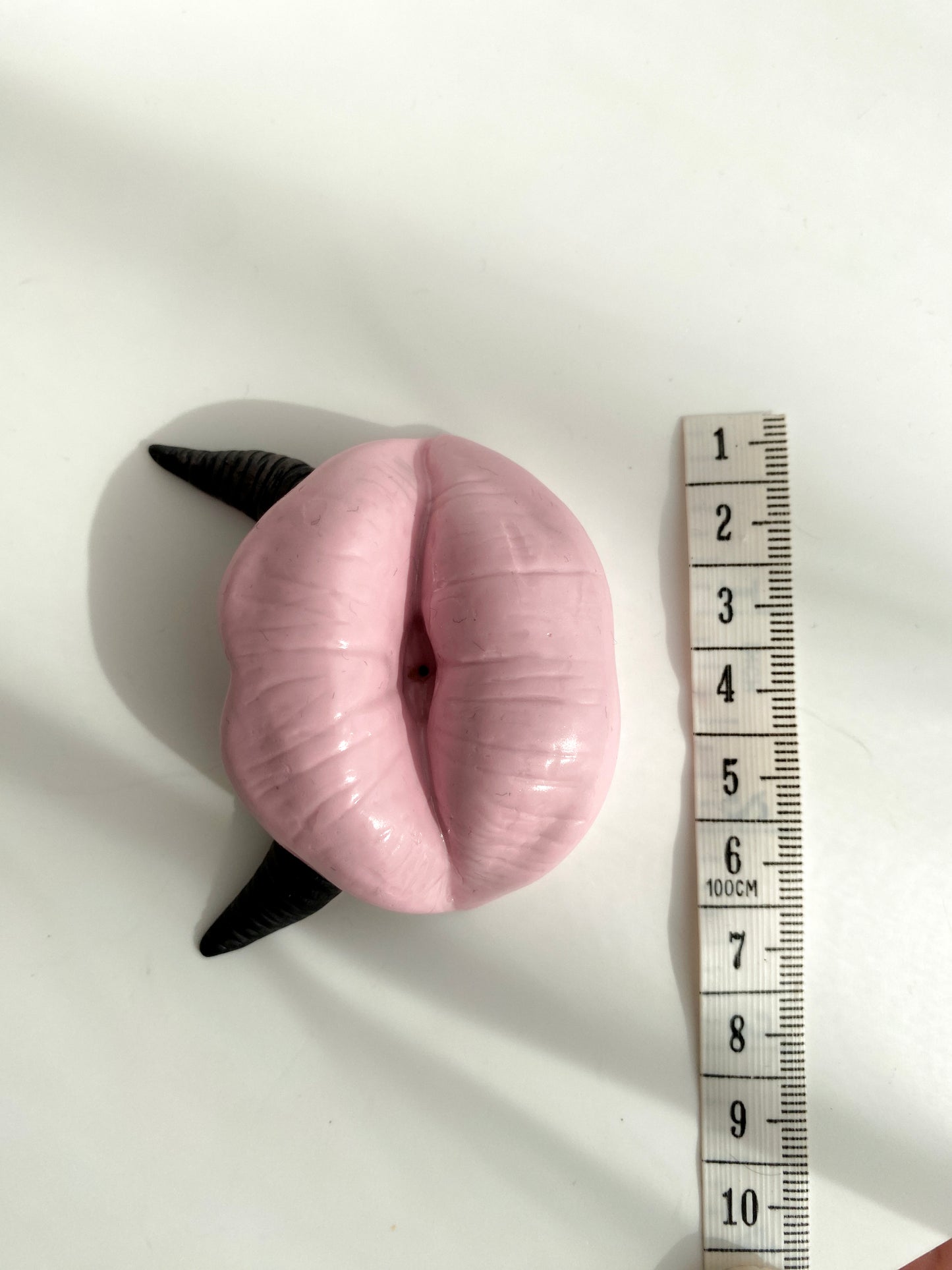 Lūpų formos rožinė smilkalinė