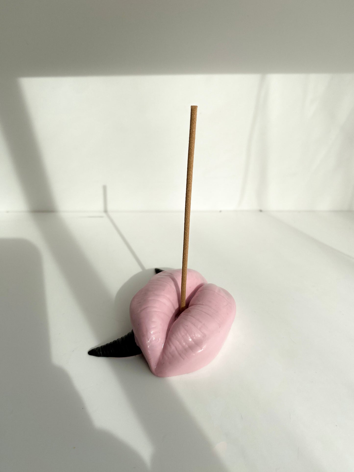 Lūpų formos rožinė smilkalinė