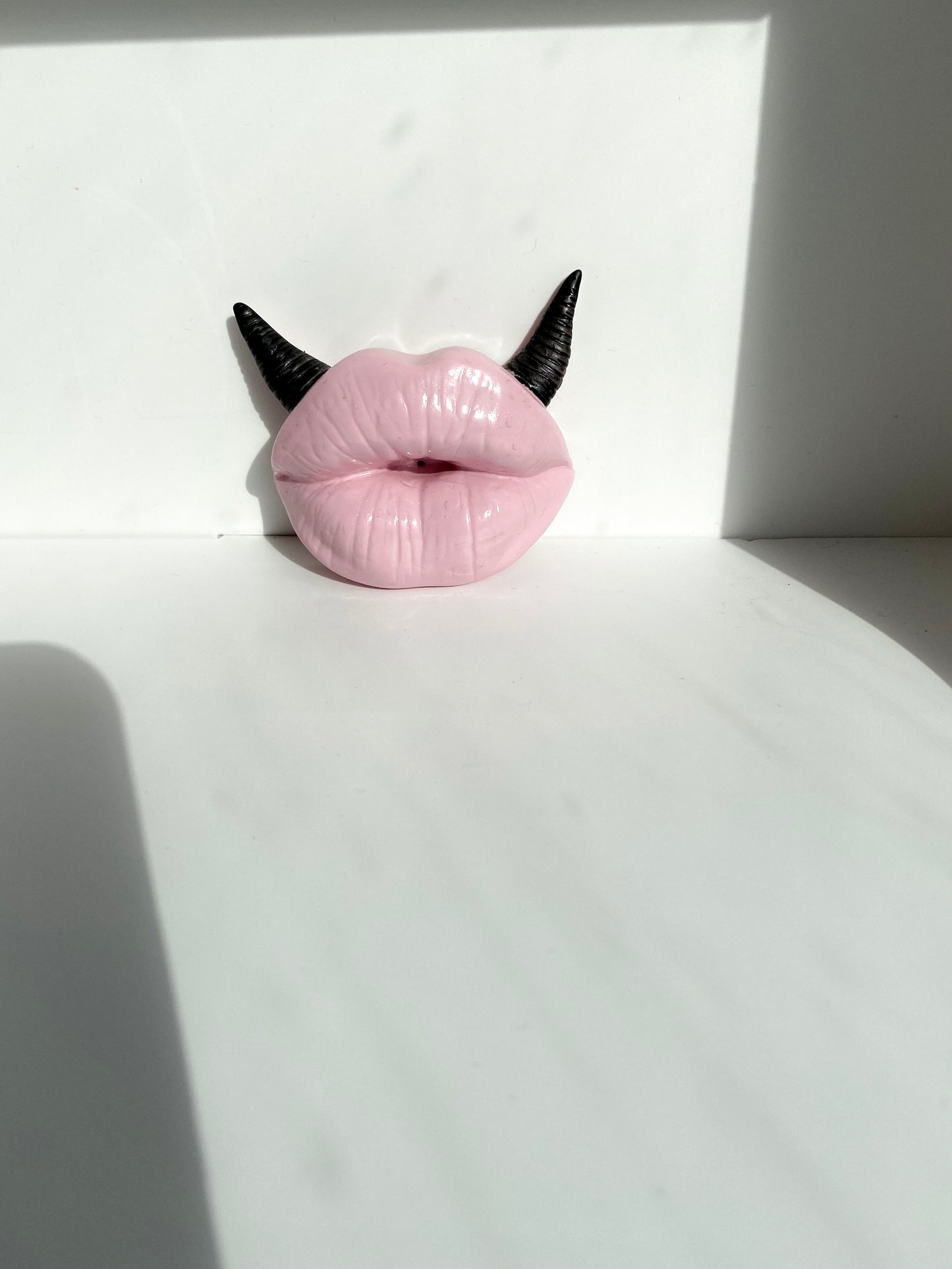 Lūpų formos rožinė smilkalinė