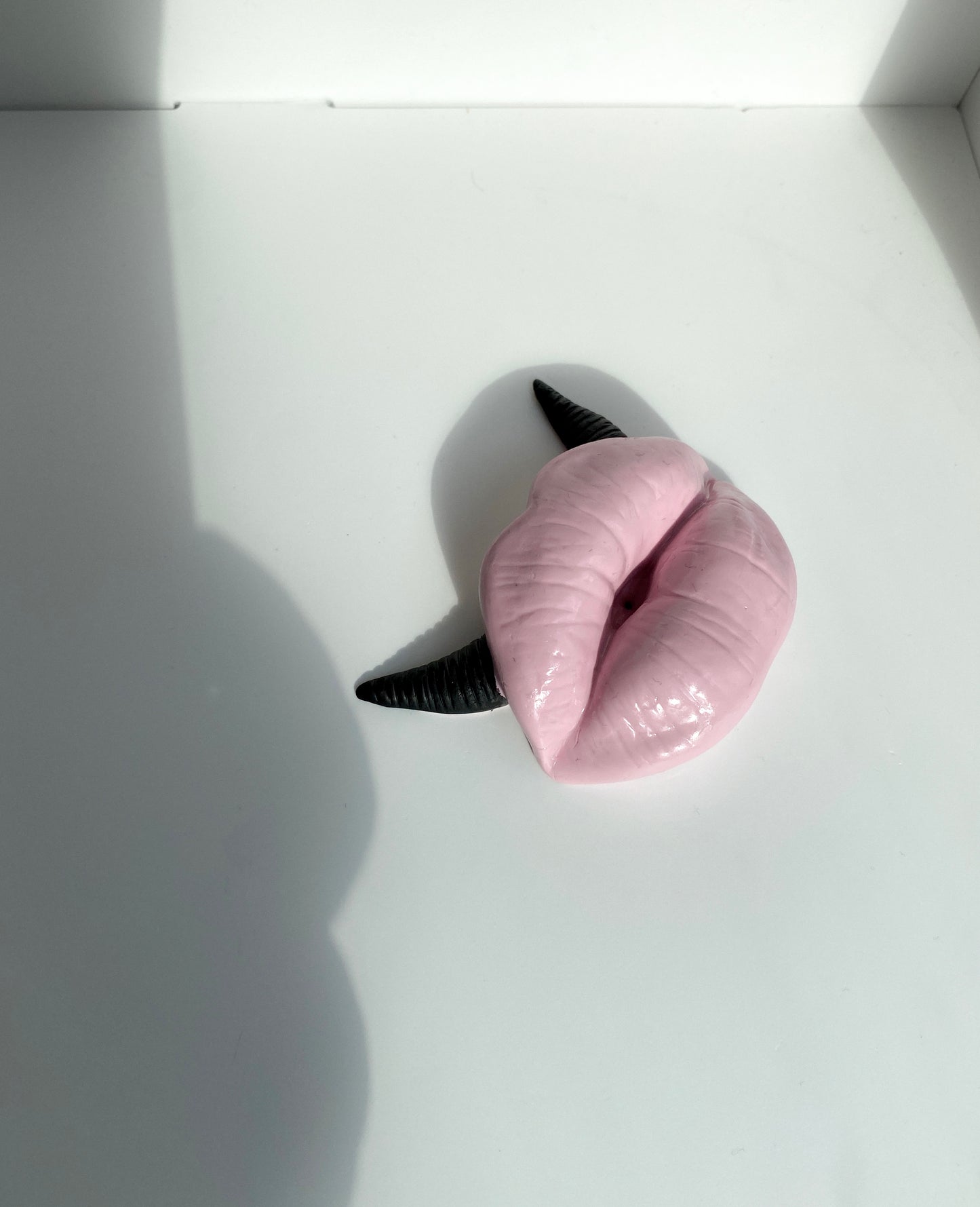 Lūpų formos rožinė smilkalinė