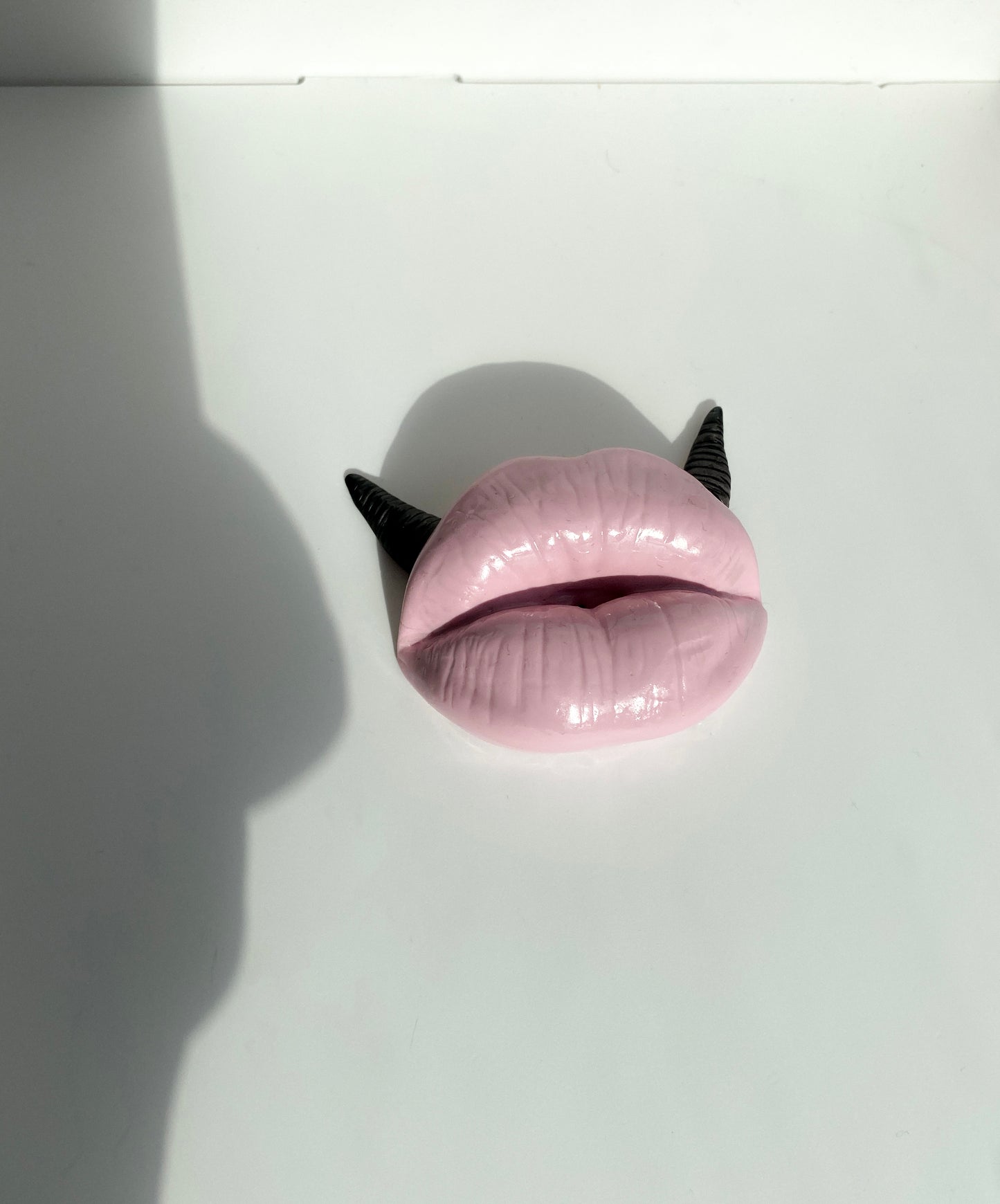 Lūpų formos rožinė smilkalinė