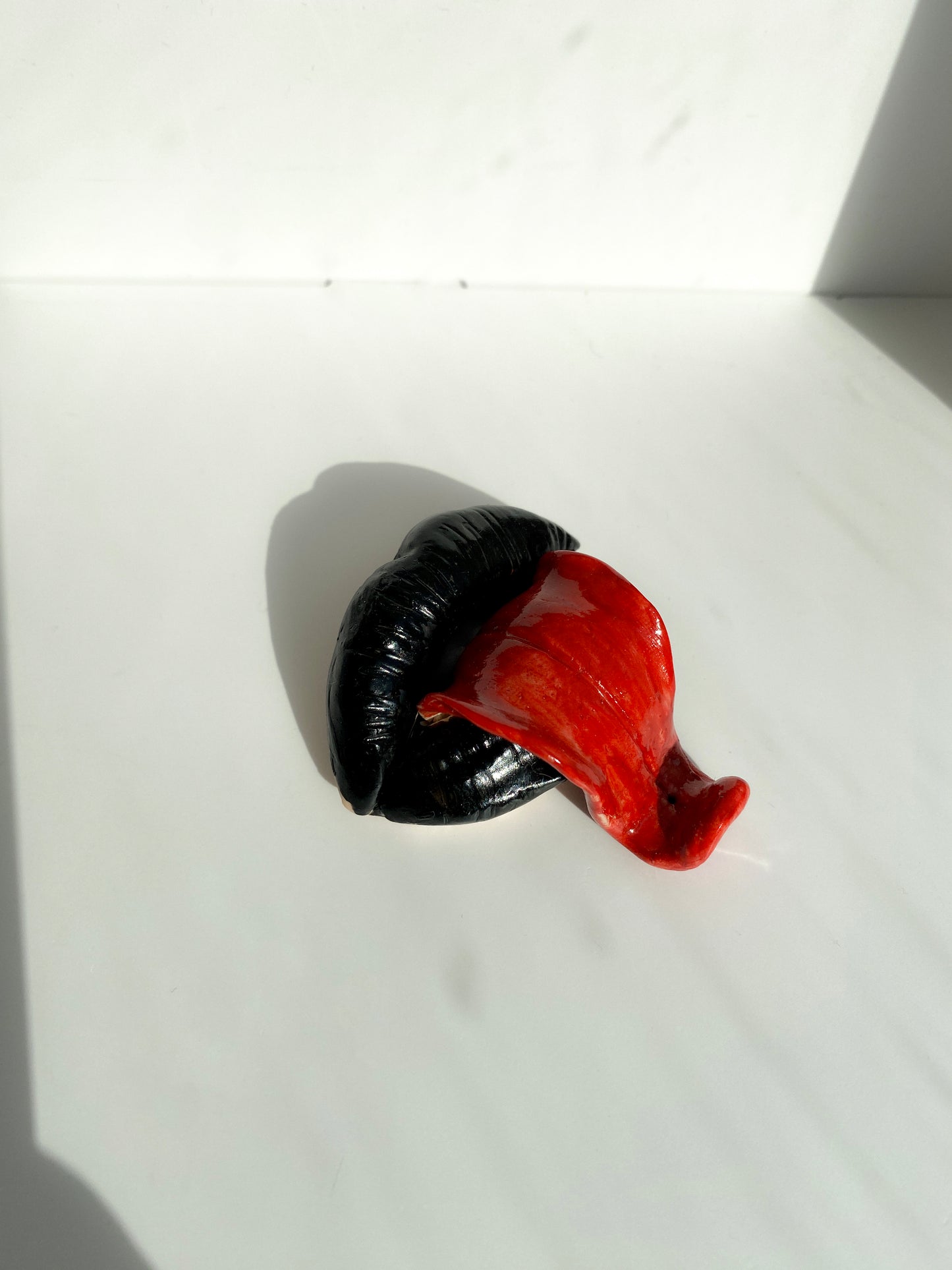 Lūpų formos juoda smilkalinė