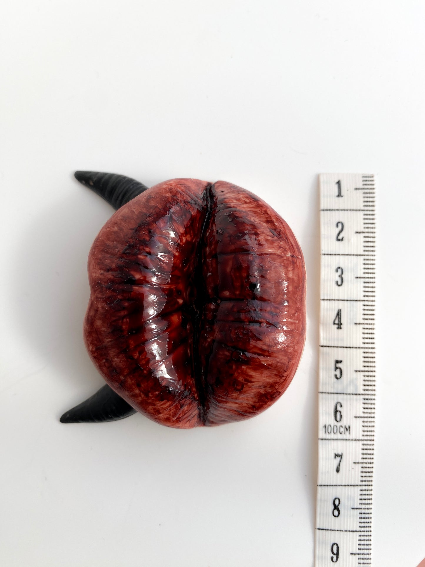 Lūpų formos kraujo efekto smilkalinė