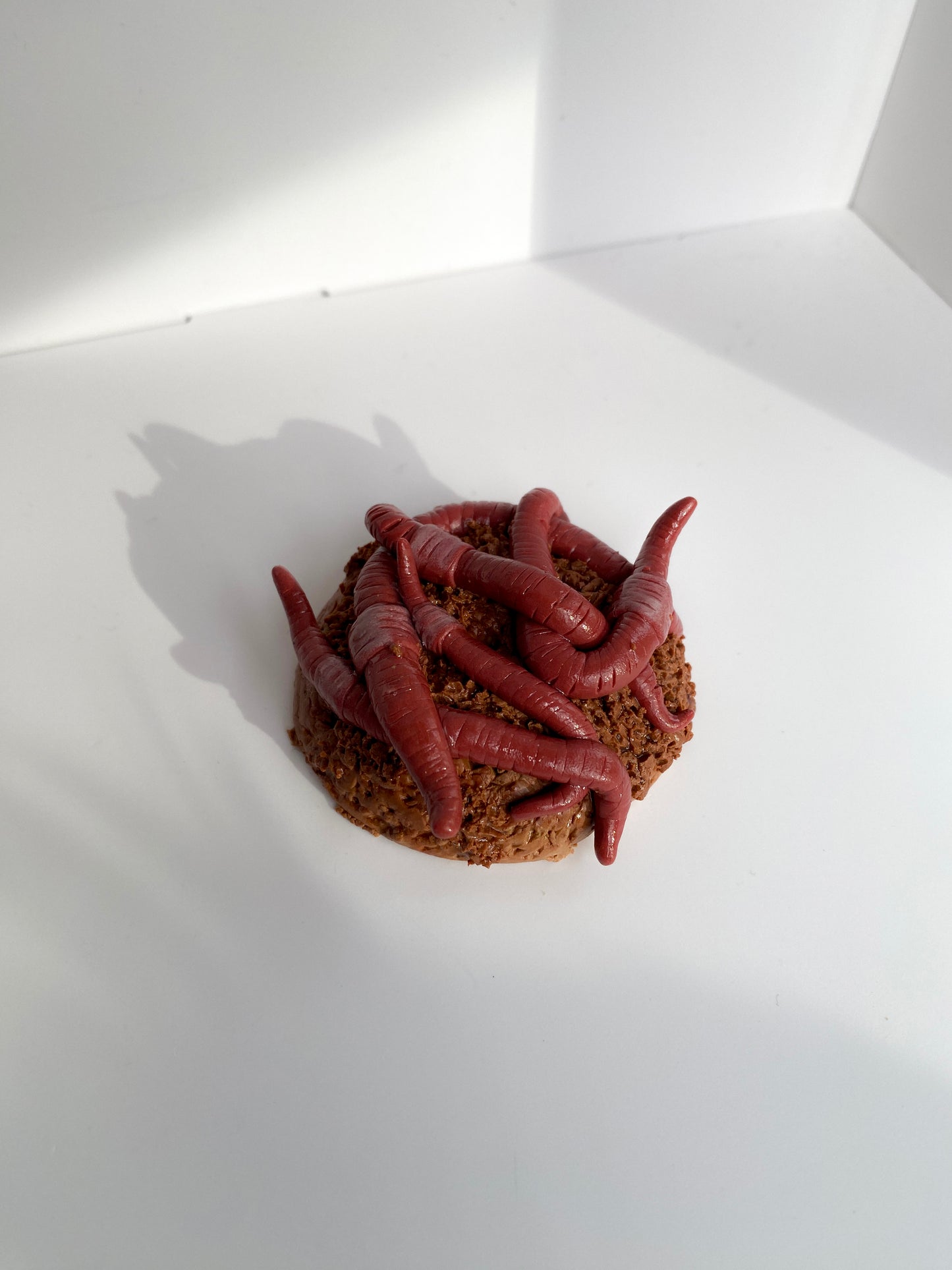 Smilkalinė su sliekais