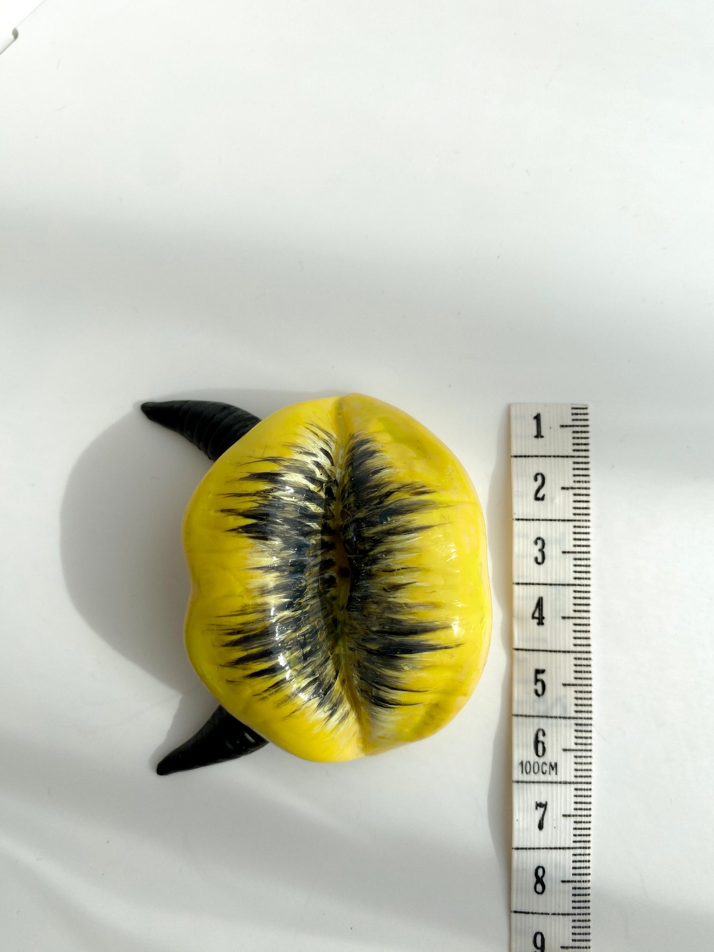 Lūpų formos geltona smilkalinė