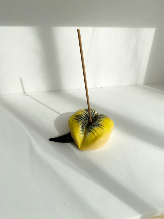 Lūpų formos geltona smilkalinė