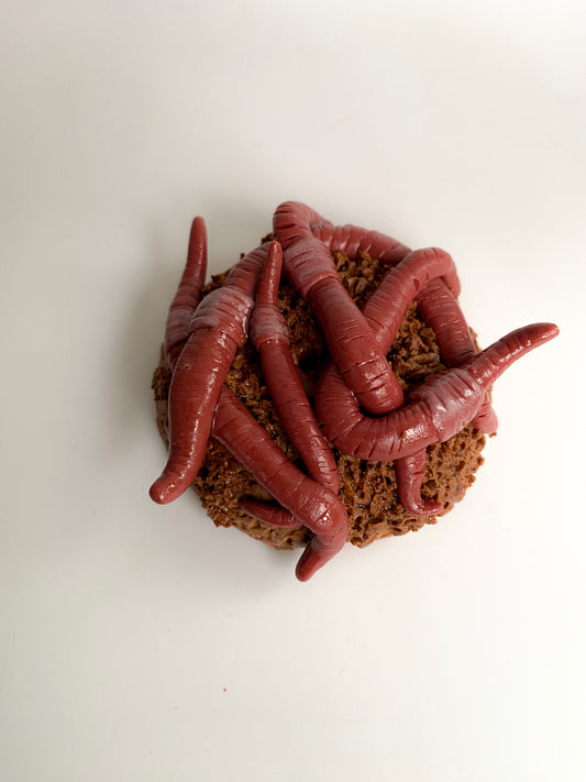 Smilkalinė su sliekais