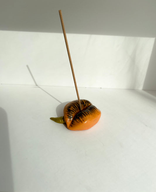 Lūpų formos smilkalinė