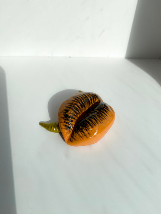 Lūpų formos smilkalinė