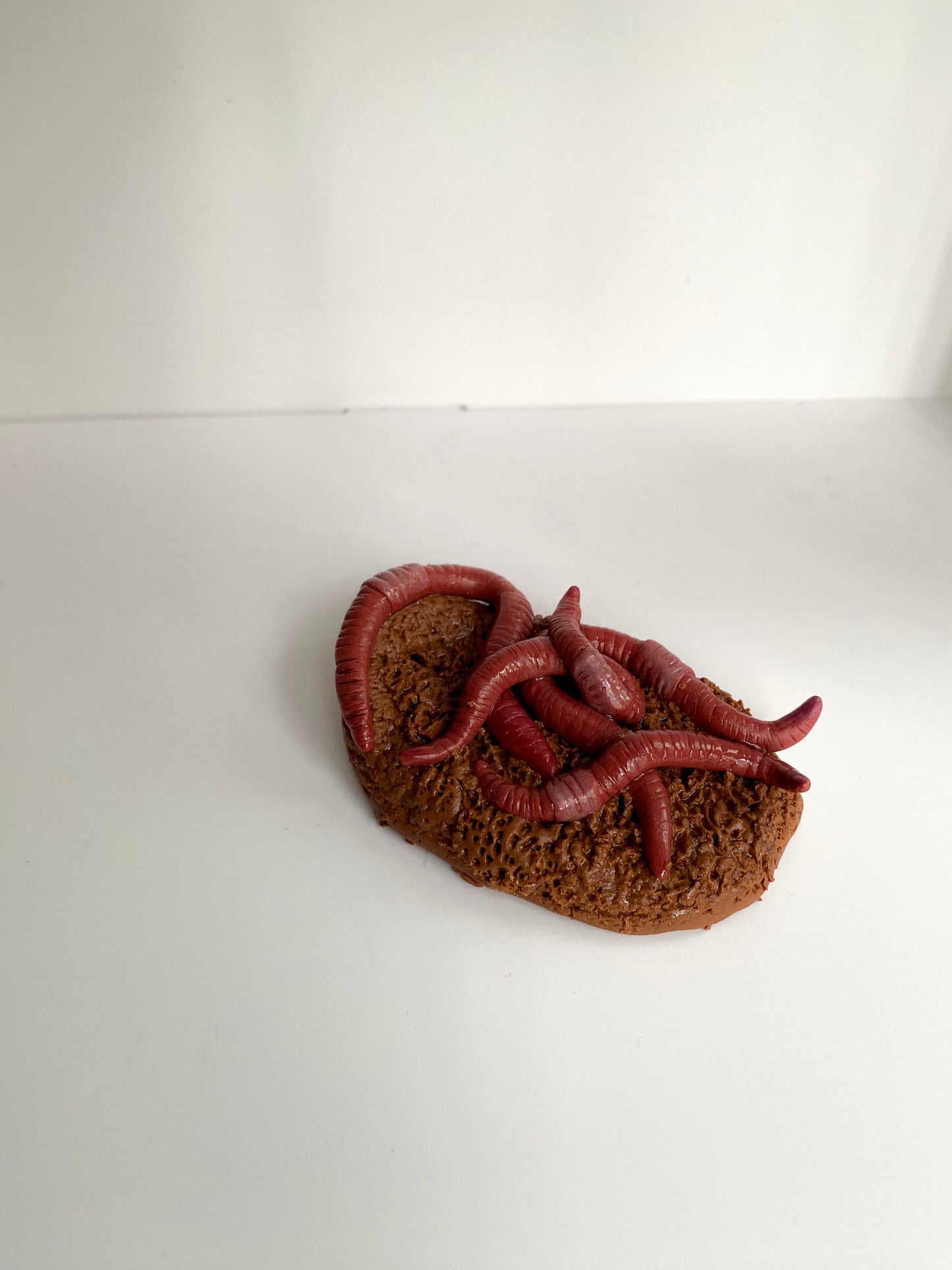 Smilkalinė su sliekais