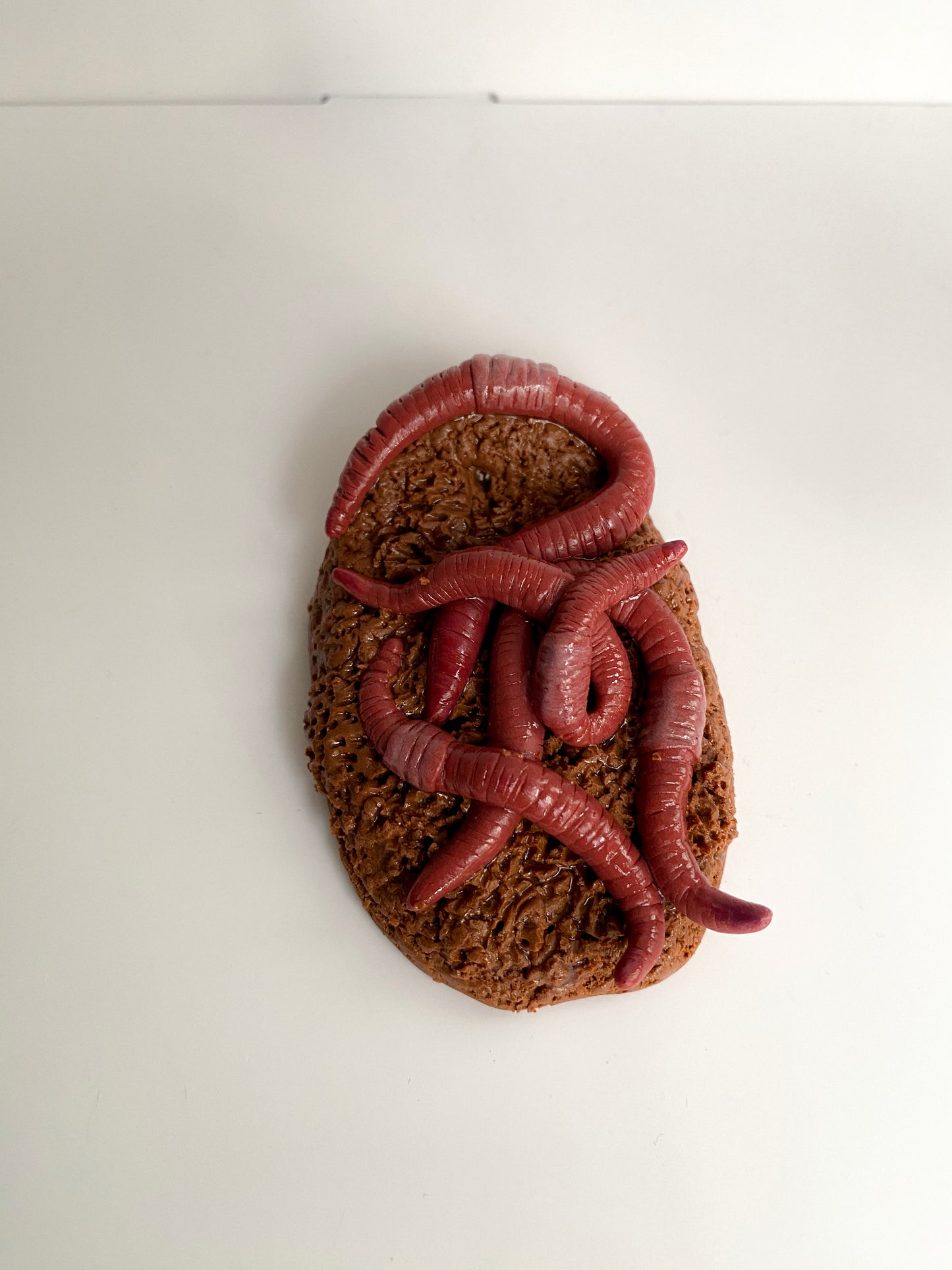 Smilkalinė su sliekais